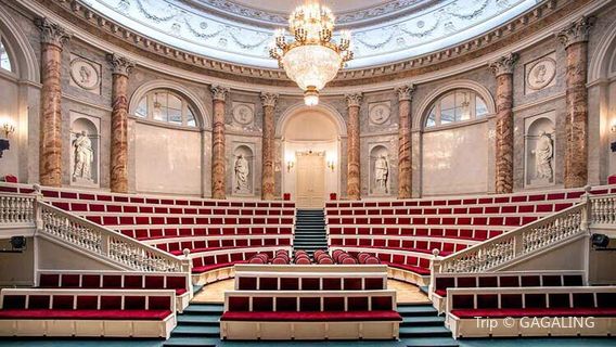 Swan Lake Performance