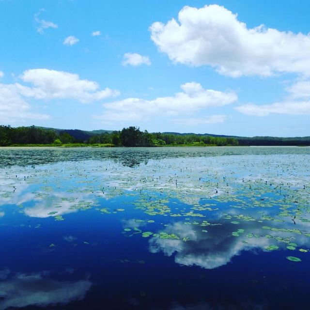 Everglades