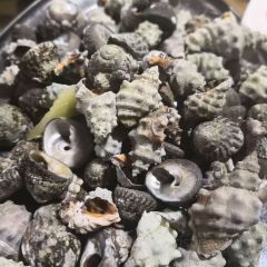 陈家风味饭馆·渔家乐海鲜大排档(坛南湾店) User Photo