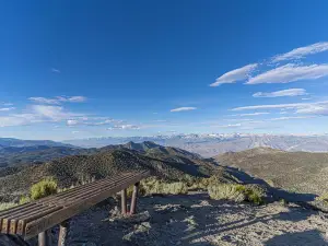 Ancient Bristlecone Pine Forest