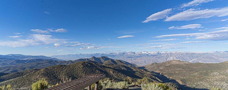 Ancient Bristlecone Pine Forest