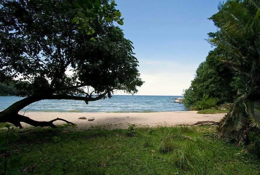 Rubondo Island