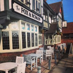 The Fox And Roman User Photo