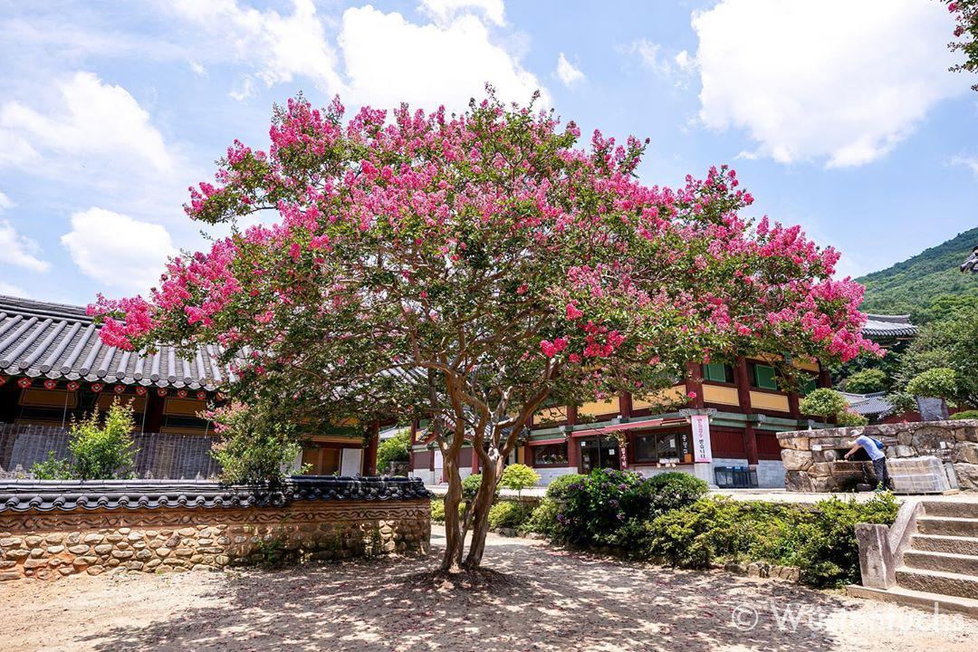 Songgwangsa Temple