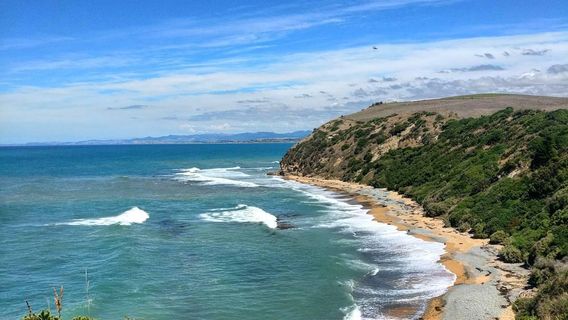 부쉬 비치 스케닉 보호지역