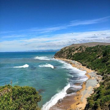 Bushy Beach Road
