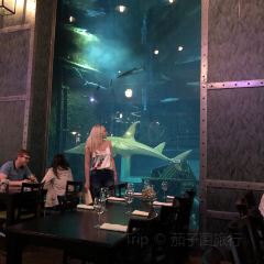 Cargo Hold Restaurant User Photo