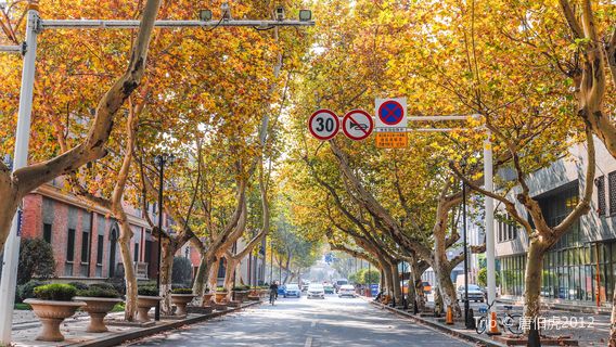 시진두 역사문화지구