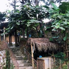 纯生态景颇乡村绿叶宴 User Photo