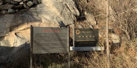 齊長城遺址