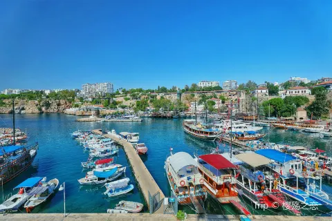Roman Harbour
