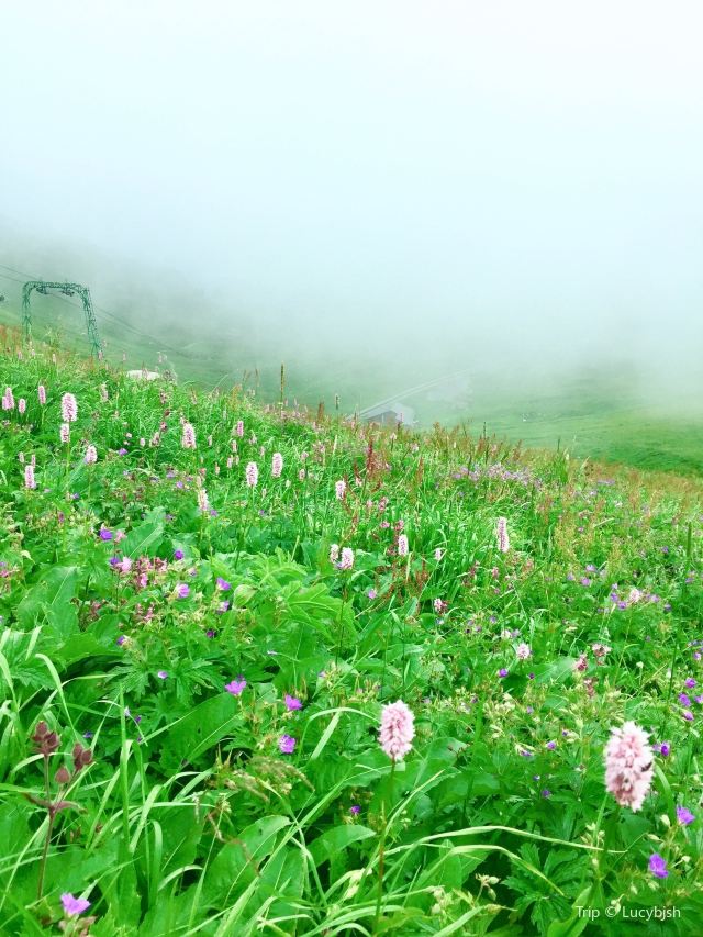 羅什德內山