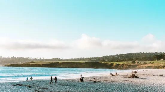 Carmel Beach