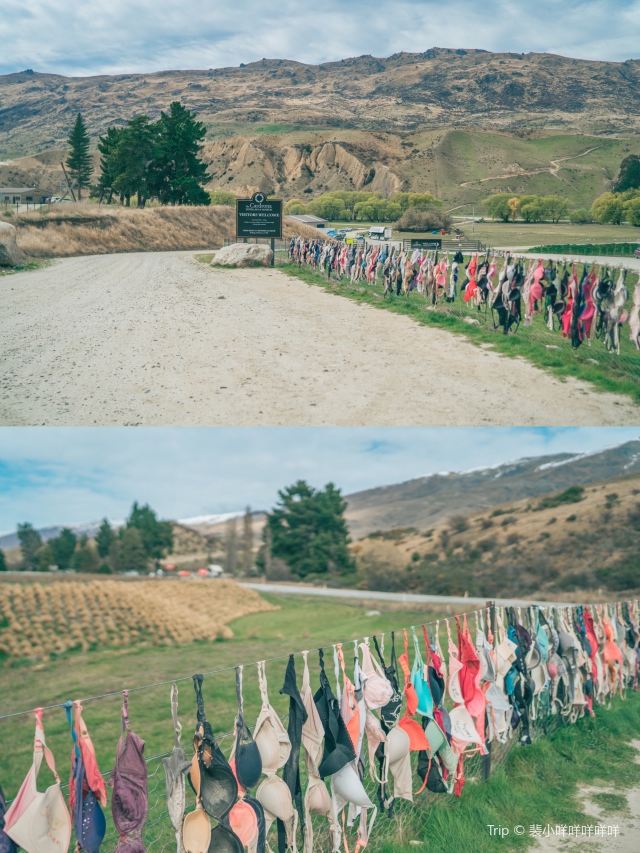 Cardrona Bra Fence