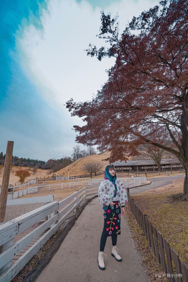 이카호 그린 목장