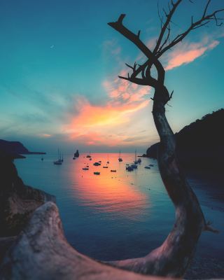 Ibiza is the island of fun and nightlife, but it's not just that! The crystal clear water and the numerous coves make it one of the most fascinating places in the world. Photo taken at the tramono in Cala Benires