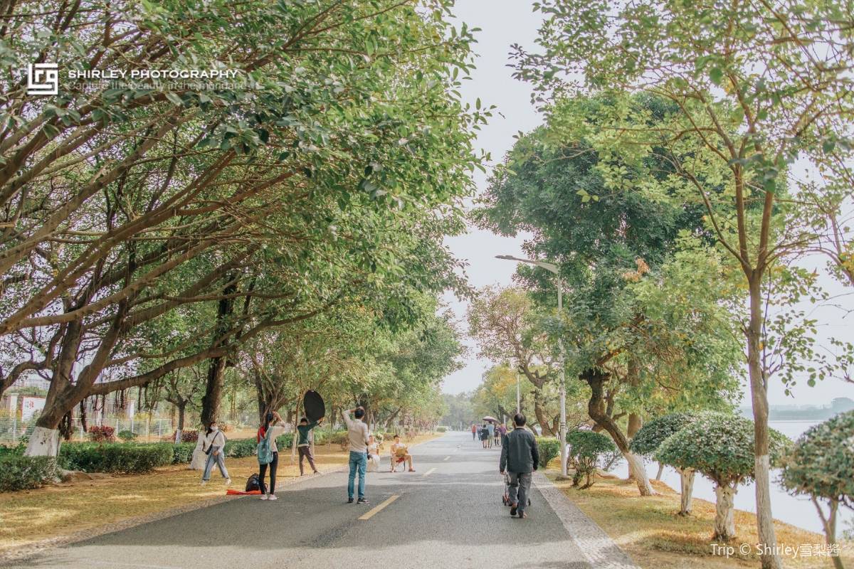 松山湖｜写真好きにおすすめのフォトスポット