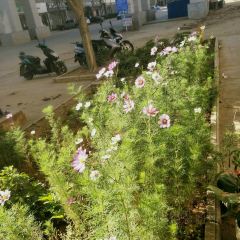 花猫田·奶茶果茶(永德店) 여행 사진