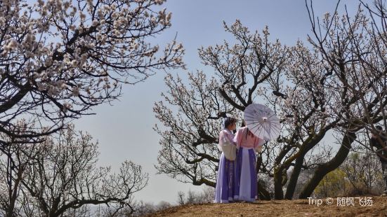 蓝田杏花谷蓝田杏花谷位于华胥镇上许村，绕城高速香王出口出来，