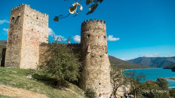 Aranisi