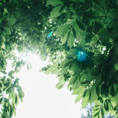 荖猎户·中华原烹雅宴艺术餐厅 User Photo