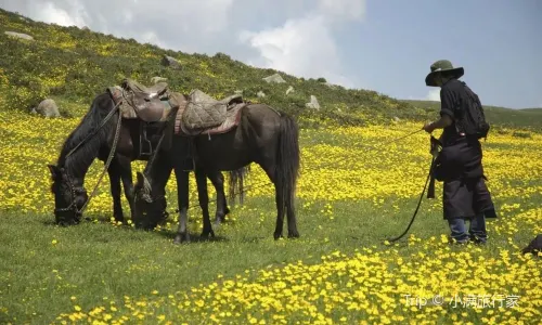 Aba Horseback Riding Experience