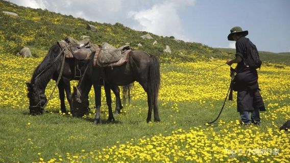 Aba Horseback Riding Experience
