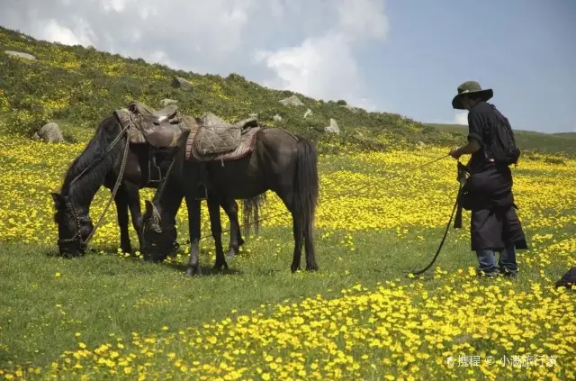 Aba Horseback Riding Experience