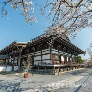 妙顕寺