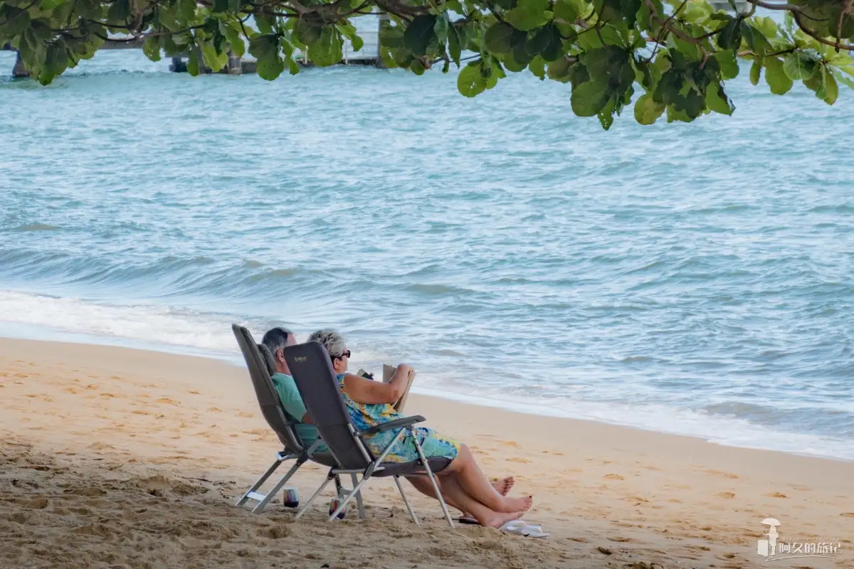 Palm Cove