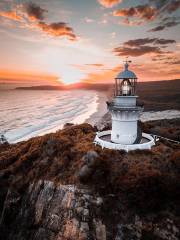 Seal Rocks Lighthouse