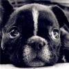 user-icon