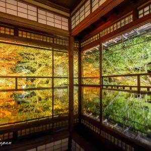 瑠璃光院