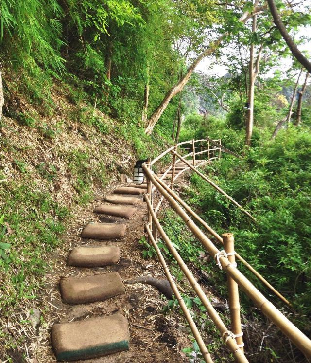 Monkey Trail