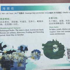 Xiangshuiguan'ezhuang User Photo