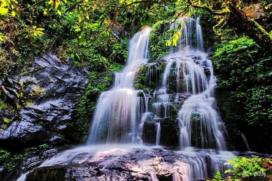 大圍山保護區 Mt. Dawei Natural Reserve