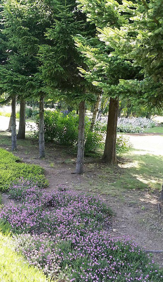 札幌鄉村田園旅遊攻略指南 札幌鄉村田園評價 札幌鄉村田園附近推薦 Trip Com 札幌鄉村田園旅遊攻略指南 札幌鄉村田園評價 札幌鄉村田園附近推薦 Trip Com