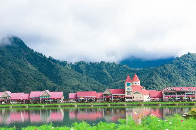 Sea of Clouds Sightseeing in Dayi