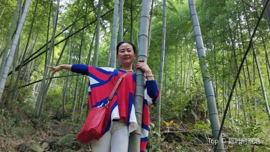   东吴酒家山里住莫干山中景色尝山中特产好滋味美景美食长相伴