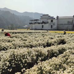 舌尖上的中国毛豆腐拍摄点 User Photo