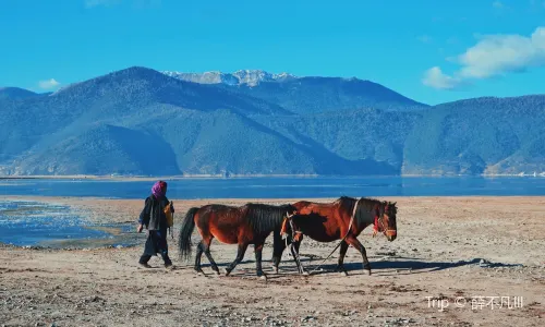 Shangri-La Horse Riding