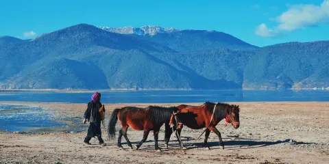 香格里拉騎馬