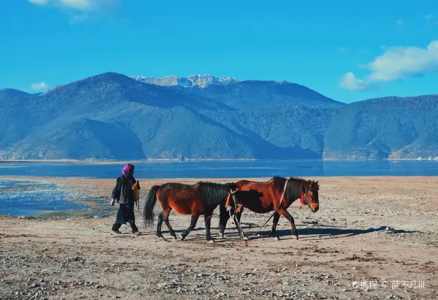 Shangri-La Horse Riding