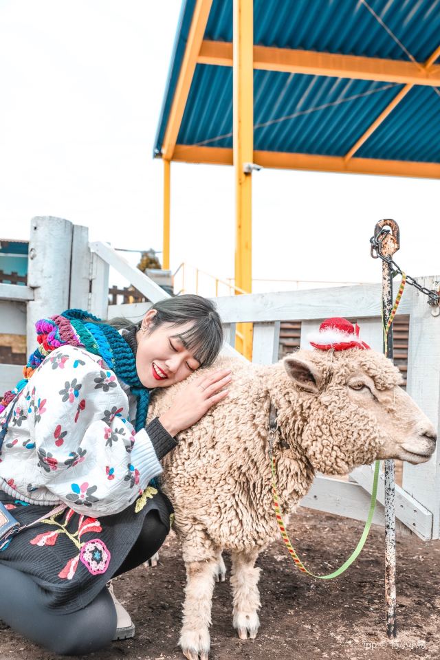 이카호 그린 목장