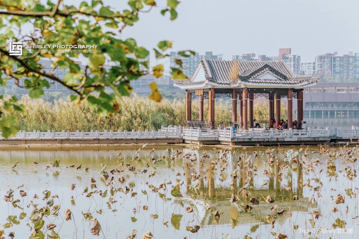 東莞旅行ならTrip.comがおすすめ