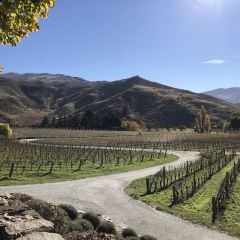 The Winery Restaurant at Mt Difficulty User Photo