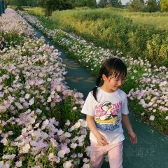 周庄香村·祁庄·禾风里餐厅 User Photo