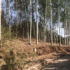 荖猎户·中华原烹雅宴艺术餐厅 User Photo