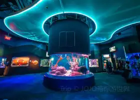 加拿大瑞普利水族館