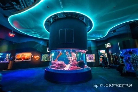 加拿大瑞普利水族館